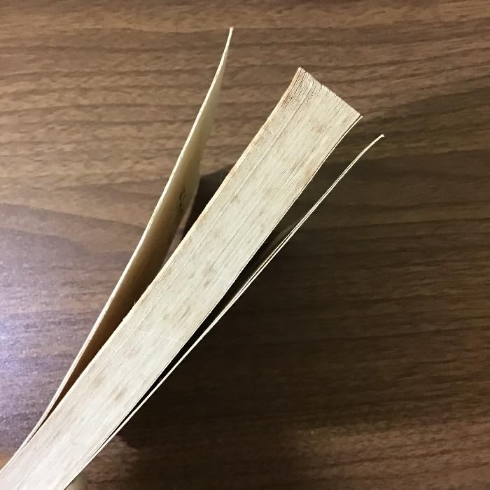 Amazon.co.jp: 〔一条摂政集 一楽古筆叢書 本書＋解説書 2冊揃セット